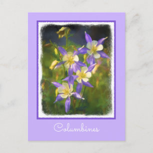 Colorado Blue Columbine Painting - Original Art Postkarte