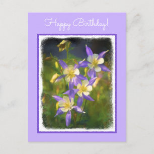 Colorado Blue Columbine Painting - Original Art Postkarte