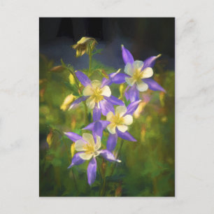 Colorado Blue Columbine Painting - Original Art Postkarte