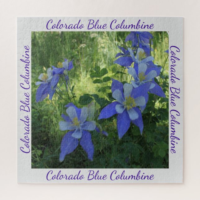 Colorado Blue Columbine Wildblume Puzzle (Vertikal)