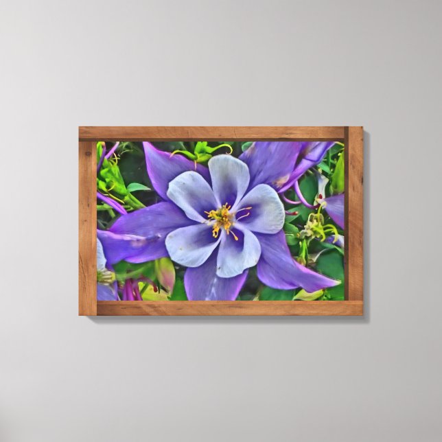 Colorado Blume Leinwand Kunst (Vorderseite)