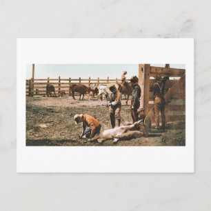 Colorado Branding 1904 Postkarte