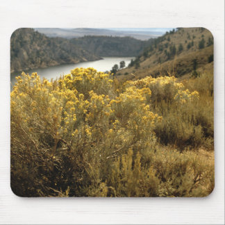 Colorado Canyon Brush Mousepad