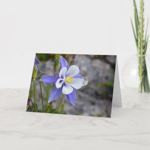 Colorado Columbine Karte