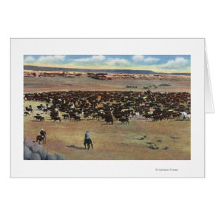 Colorado - Cowboys Rounding