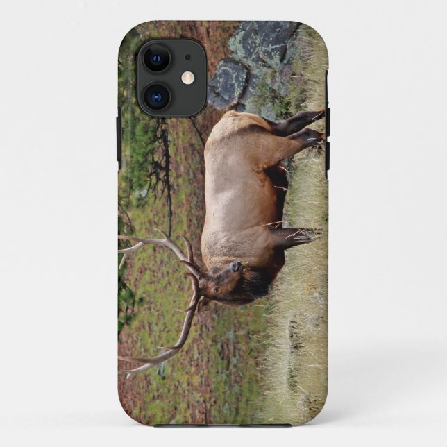 Colorado Elk iPhone 5 Case-Mate iPhone Hülle (Rückseite)