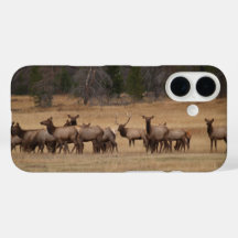 Colorado Elk Phone Case