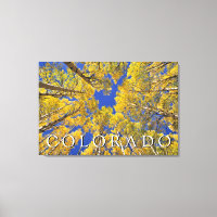 Colorado Fall | Aspenwald im Herbst