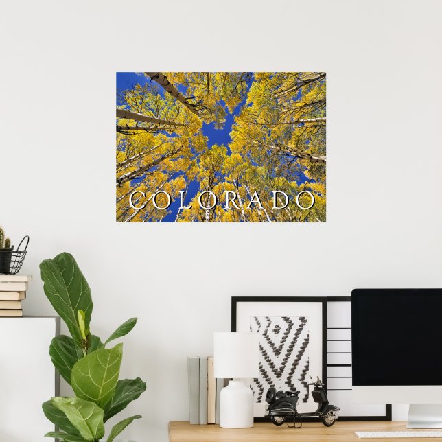 Colorado Fall | Aspenwald im Herbst Poster (Heimbüro)