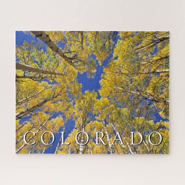 Colorado Fall | Aspenwald im Herbst Puzzle (Horizontal)