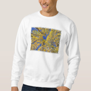 Colorado Fall   Aspenwald im Herbst Sweatshirt