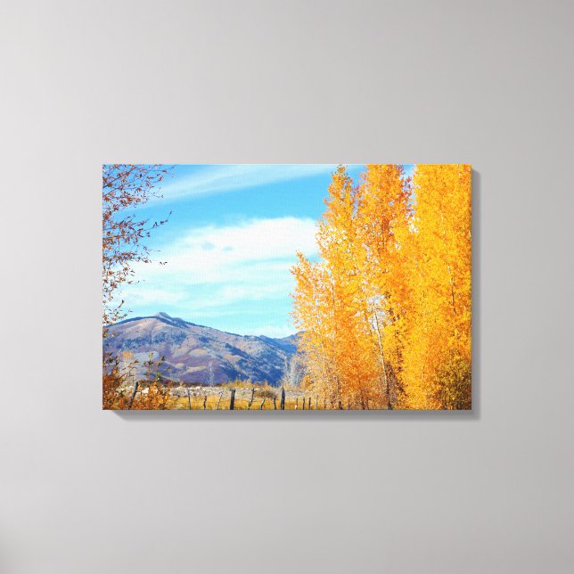 Colorado Fall Vista Wrapped Canvas Leinwanddruck (Vorderseite)