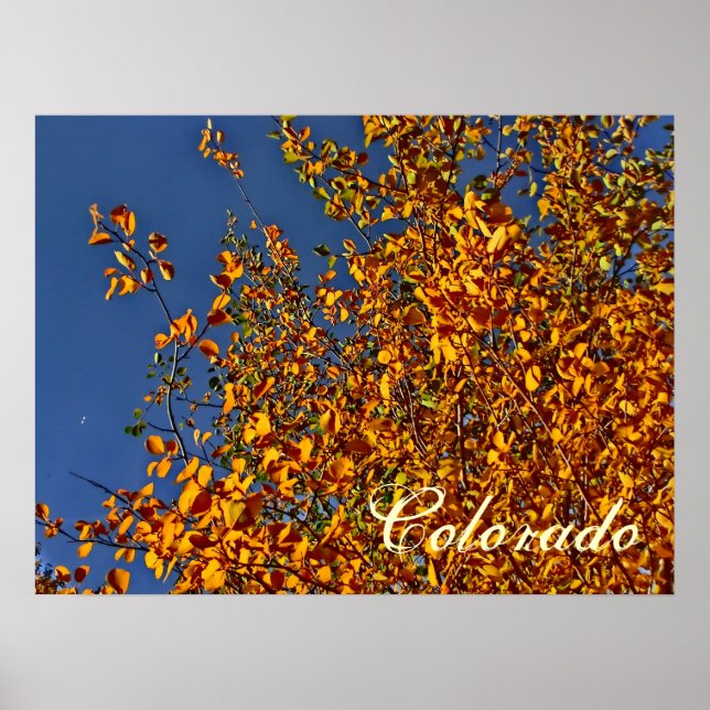 Colorado fallendes Poster (Vorne)