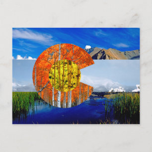 Colorado Flag Postkarte