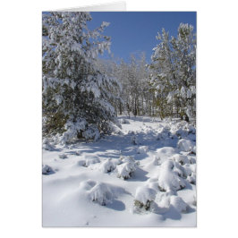 Colorado Forest Beauty Weihnachtskarte