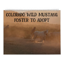 Colorado Foster to Adopt Kalender