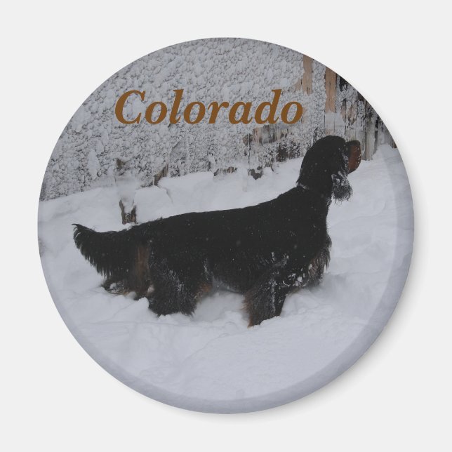 Colorado Gordon Setter Magnet (Vorne)