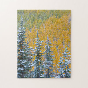 Colorado, Grand Mesa. Früher Schneefall im Wald Puzzle