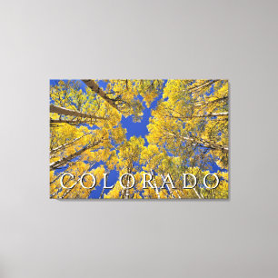 Colorado Herbst Espenwald im Herbst Leinwanddruck