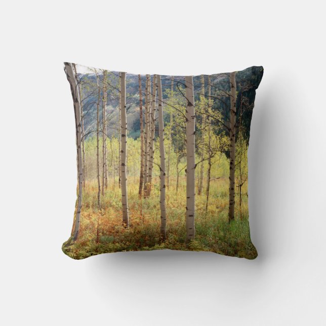 Colorado, Herbstfarben von Aspen Kissen (Vorderseite)
