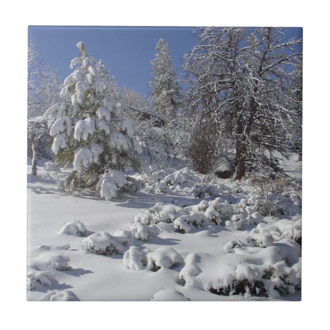 Colorado Hochland Winter Tal Fliese (Vorderseite)