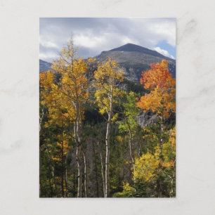Colorado Inspiration Postkarte