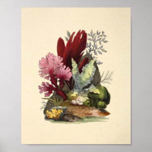 Colorado Kunst, Dichtung und Musik Poster