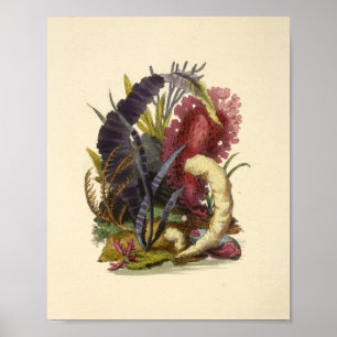 Colorado Kunst, Dichtung und Musik Poster