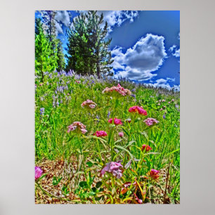 Colorado landschaftliche Leinwand Poster