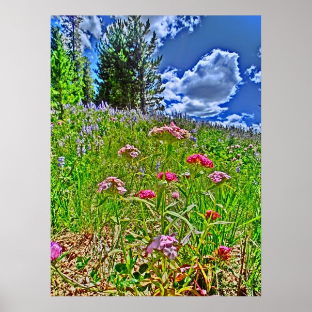 Colorado landschaftliche Leinwand Poster (Vorne)