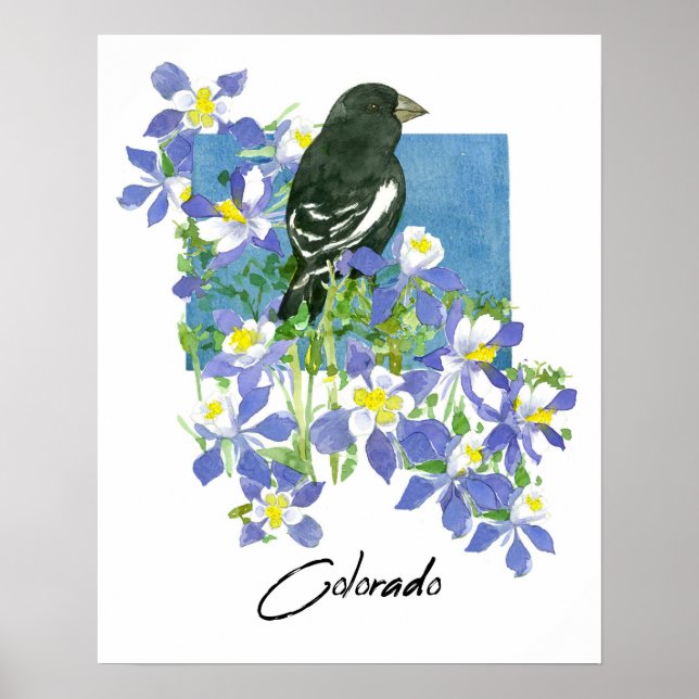 Colorado Lerchenstärling Akelei Bergblumen Poster (Vorne)