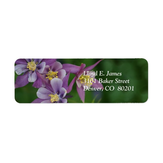 Colorado Lila Columbine Rücksendeadresse (Vorne)