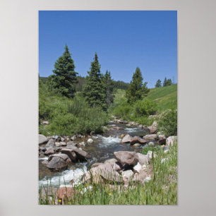 Colorado Mountain Stream Poster