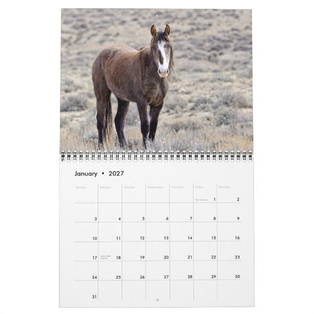 Colorado-Mustang-Kalender Kalender (Jan 2027)