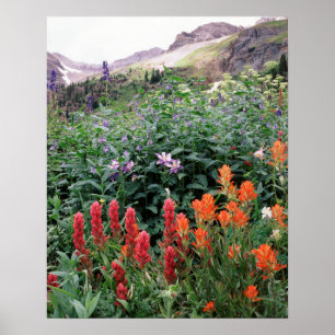 Colorado, Nationalwald der Uncompahgre Poster