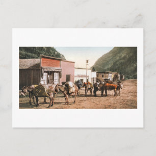 Colorado Pack-Pfad Bereit für Bergleute 1904 Postkarte