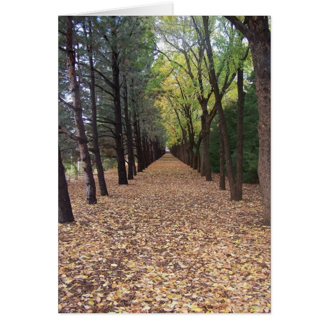 Colorado-Pfad (Vorne)