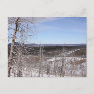 Colorado Postcard Postkarte