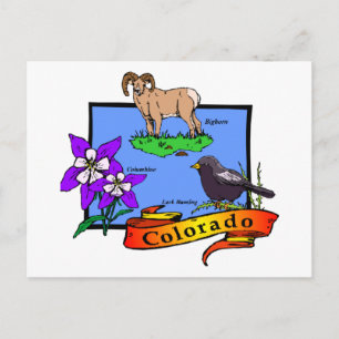 Colorado Postkarte