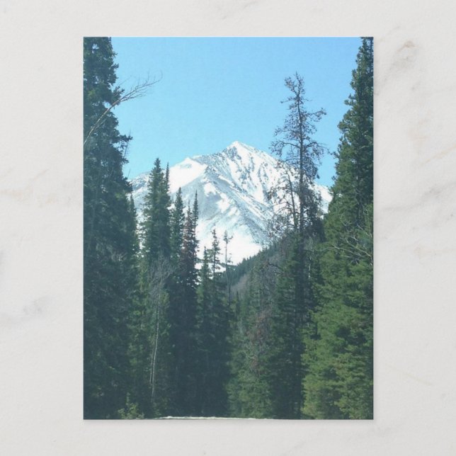 COLORADO POSTKARTE (Vorderseite)