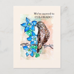 Colorado Postkarte