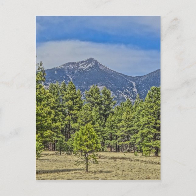 Colorado Rockies Postkarte (Vorderseite)