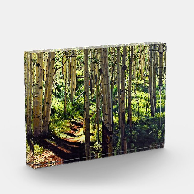 Colorado Rocky Mountain Aspen Trees Fotoblock (Links)