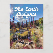 Colorado Rocky Mountain Creek Postcard