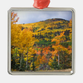 Colorado Rocky Mountains Aspen Trees Ornament Aus Metall