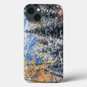 Colorado, San Juan Mountains, Erster Schnee Case-Mate iPhone Hülle