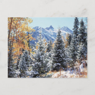 Colorado, San Juan Mountains, erster Schnee Postkarte