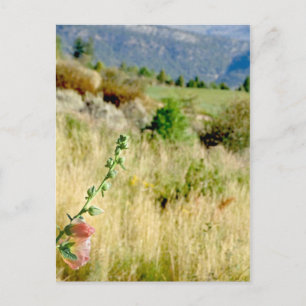 Colorado September Postkarte