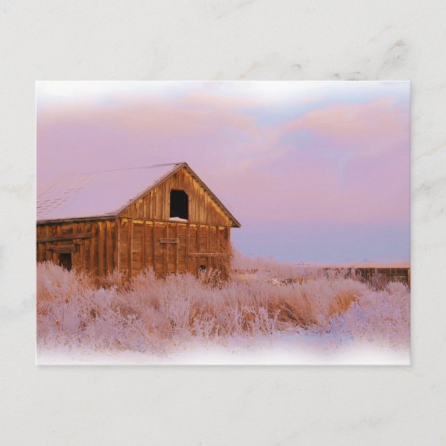 COLORADO SHED POSTCARD POSTKARTE (Vorderseite)