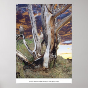 Colorado-Sonnenuntergang Poster